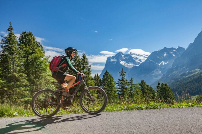 Do You Need License for Dirt Bike: A Comprehensive Guide